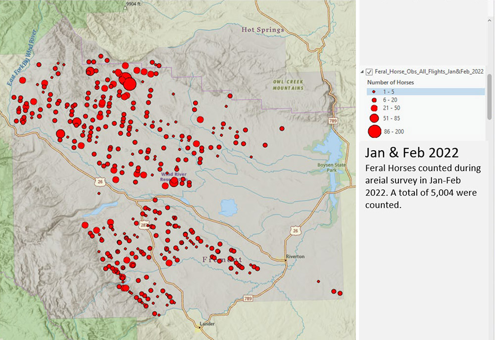 Feral horse distribution map 2022